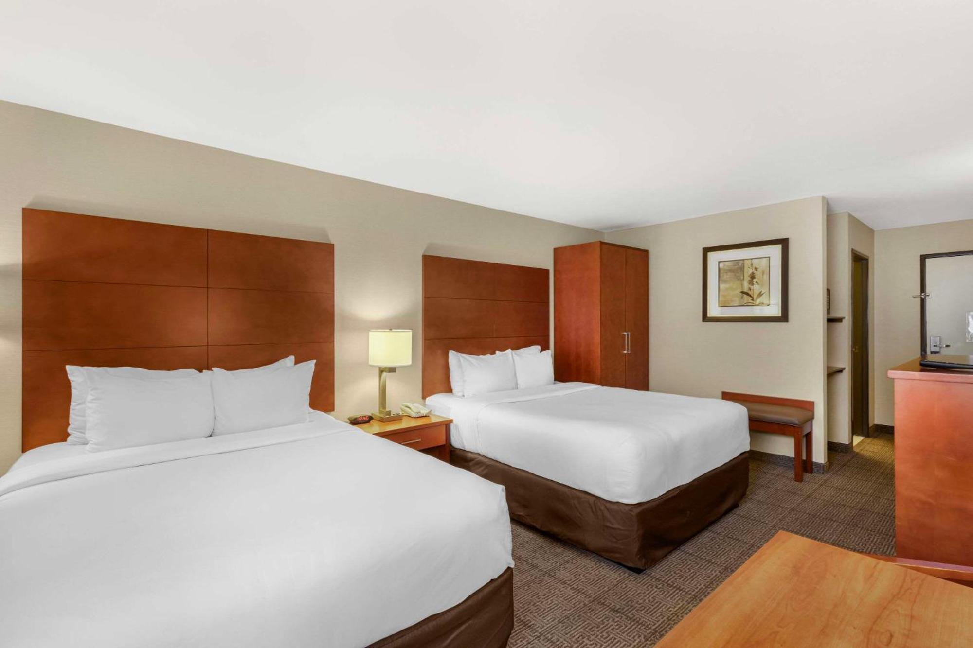 Comfort Inn & Suites Near Fallon Naval Air Station Exteriér fotografie